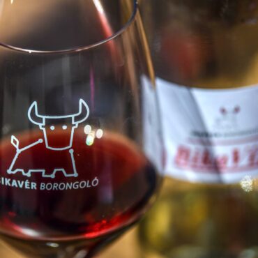 2023. május 13-án szombaton 10-19 óráig kerül megrendezésre a Bikavér Borongoló, Szekszárd északi részén található 7 pincészet  kínálja Bikavér és két könnyű borát.